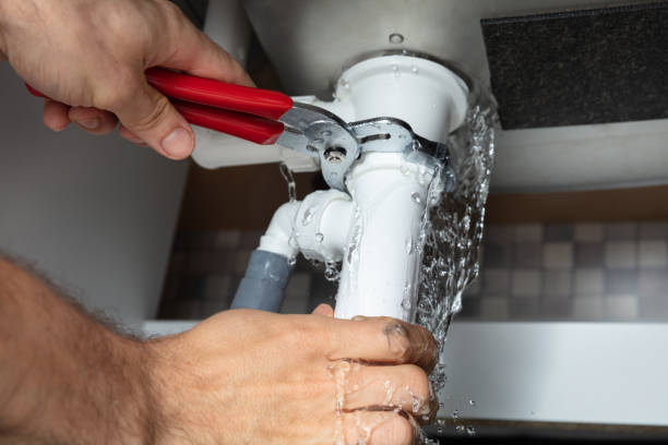 Best Basement water damage restoration  in Mccormick, SC