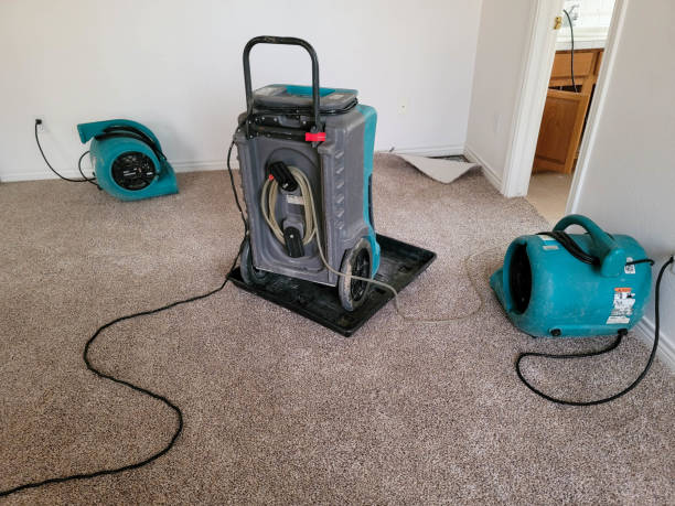 Best Fire Damage Restoration  in Mccormick, SC