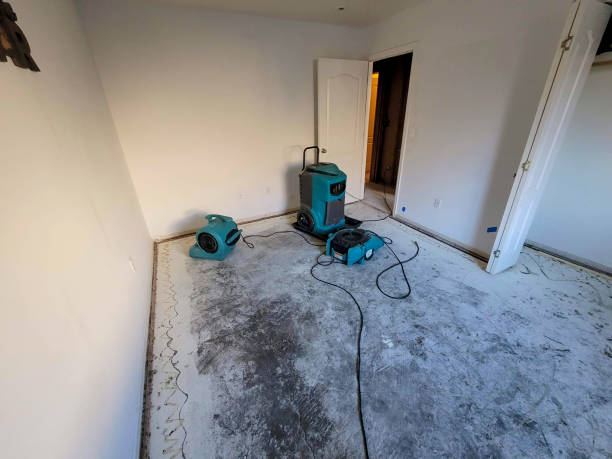 Best Professional water damage repair  in Mccormick, SC