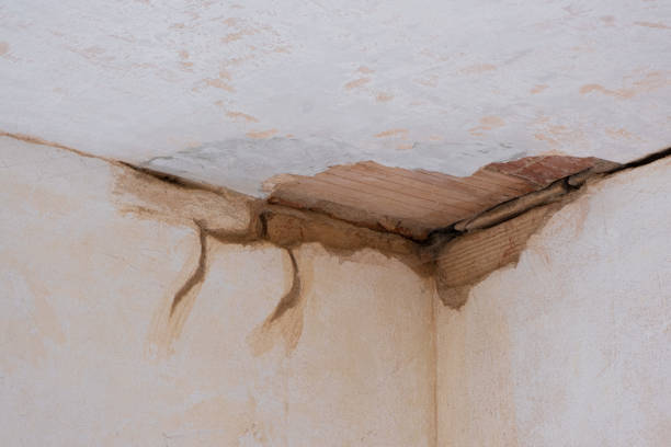 Best Carpet water damage restoration  in Mccormick, SC