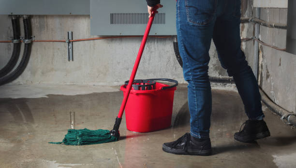 Best Water damage restoration near me  in Mccormick, SC