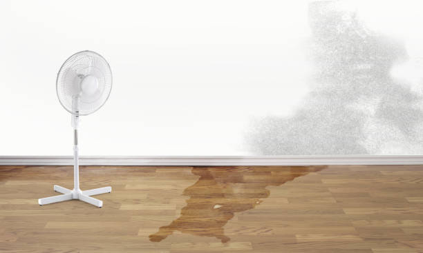 Professional Water damage restoration in Mccormick, SC
