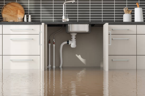 Best Water damage cleanup near me  in Mccormick, SC