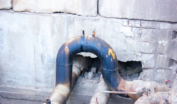 Best Mold removal after water damage  in Mccormick, SC