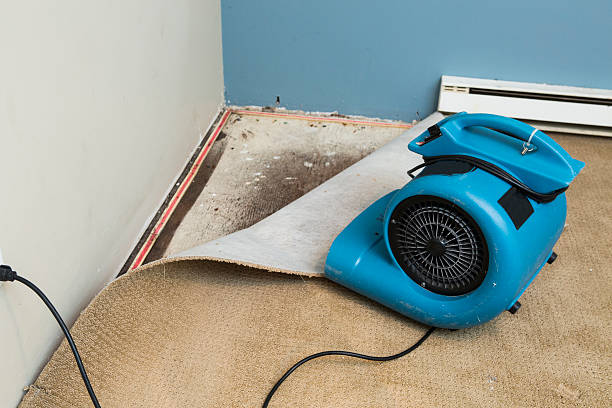 Best Water damage mitigation services  in Mccormick, SC